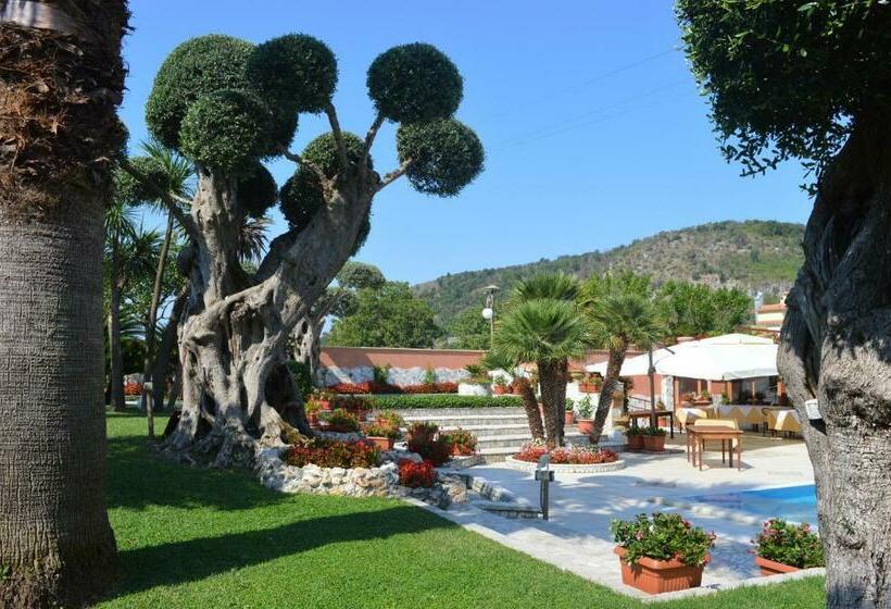 膳宿费 Villa Dei Fiori