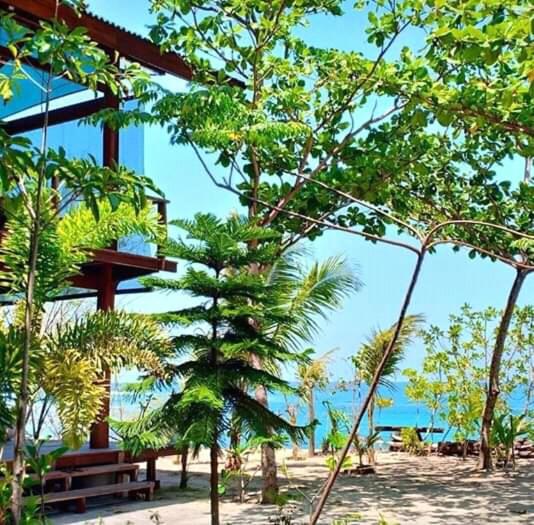 הוסטל Castaway Surf Retreat 1