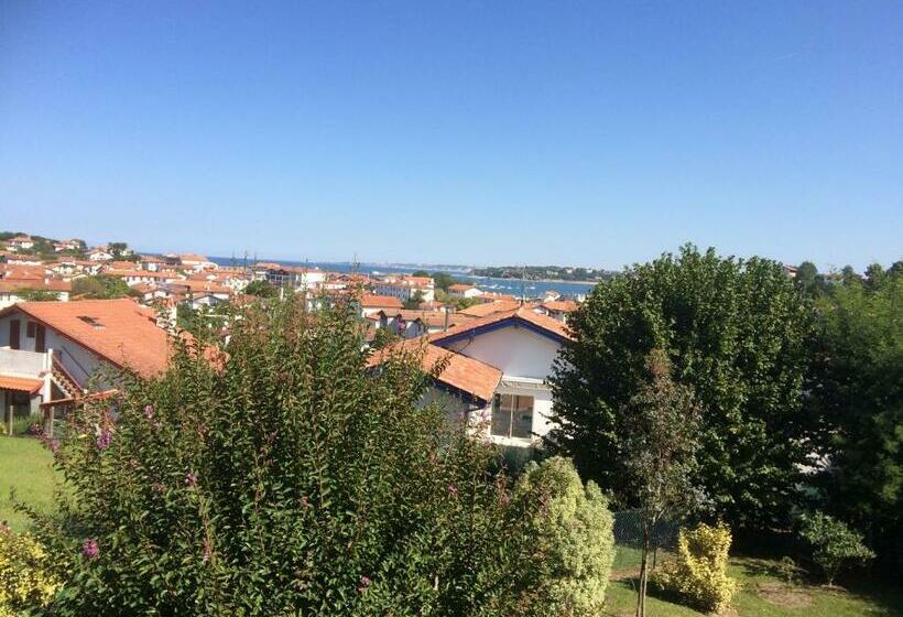 住宿加早餐  Calicho