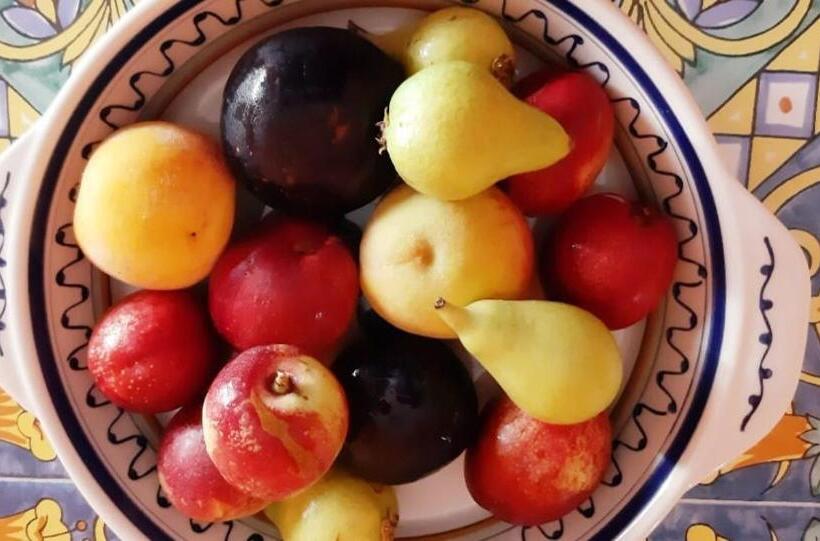 مبيت وإفطار Le Mille E Una Puglia   Stories And Experiences