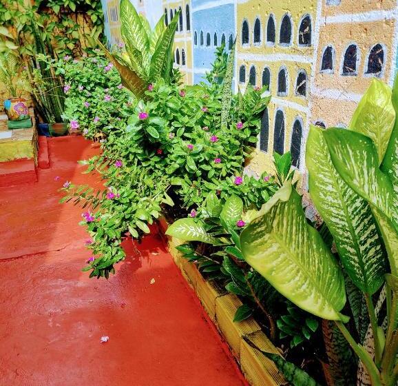 Bed and Breakfast Perto Do Aeroporto De Salvador Dona Pitanga Hostel