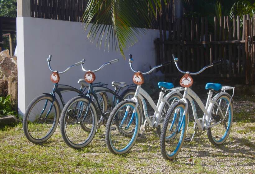 Отель Jaiba Mahahual   Adults Only