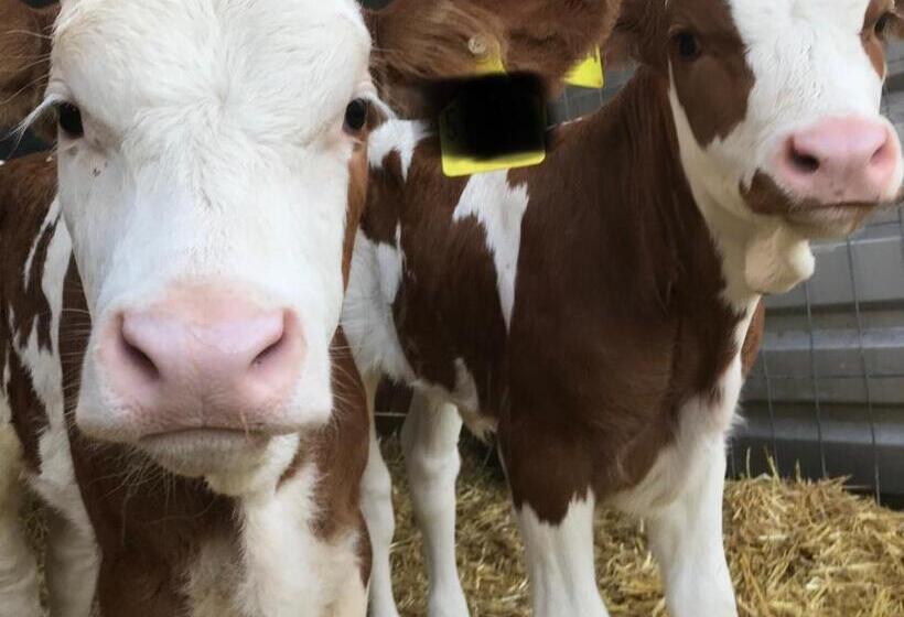 호텔 Urlaub Auf Dem Bauernhof Zeller