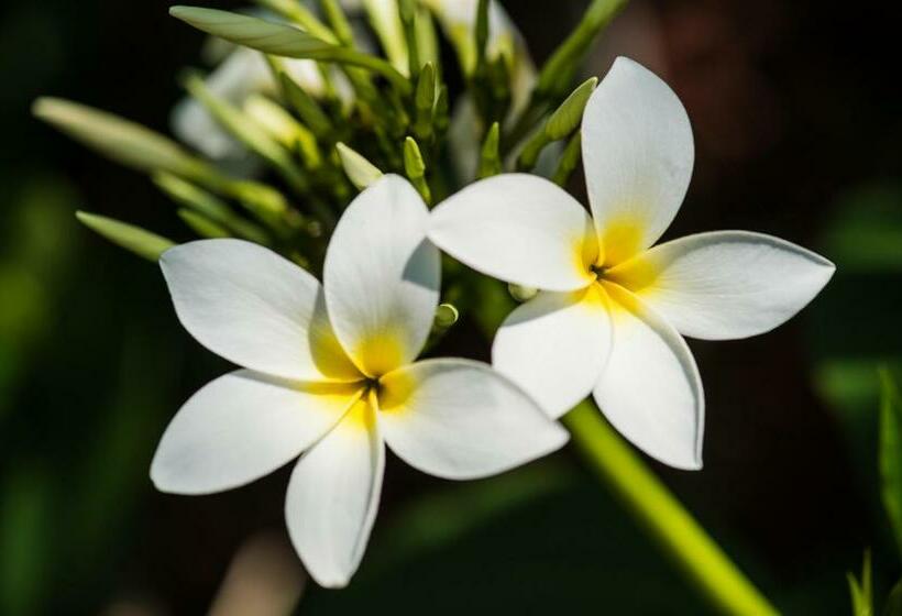 膳宿费 Bears  Place Guest House