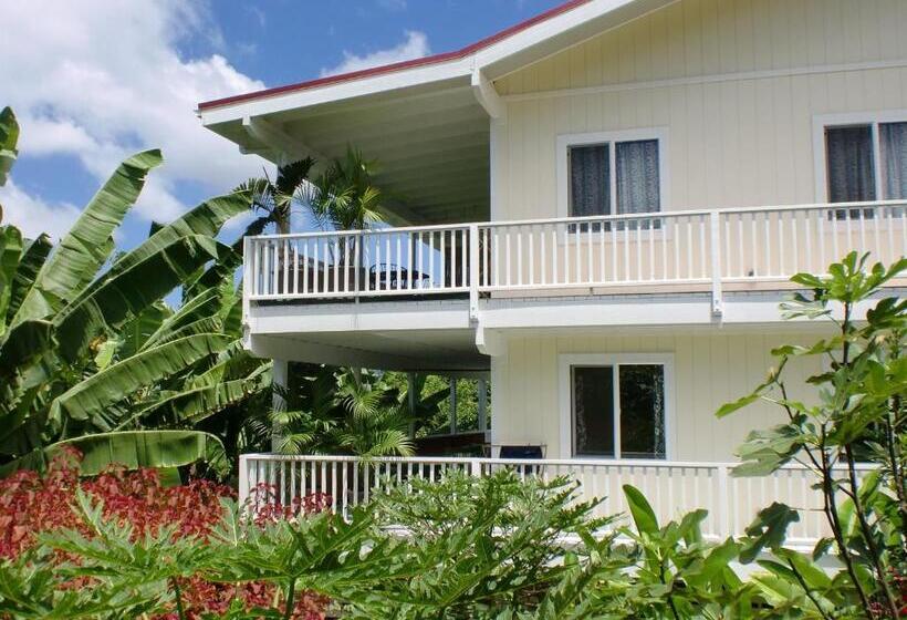 膳宿费 Bears  Place Guest House