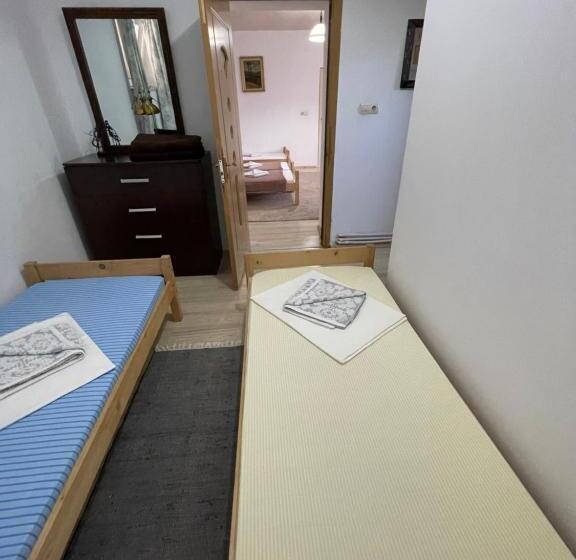 Пансион Casa Trandafirilor