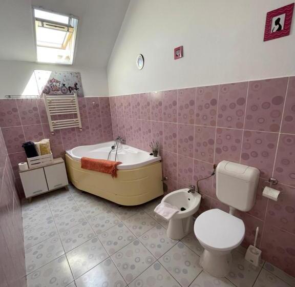 Пансион Casa Trandafirilor