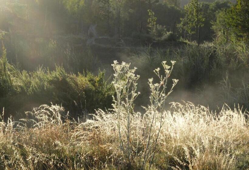 פנסיון Doorways