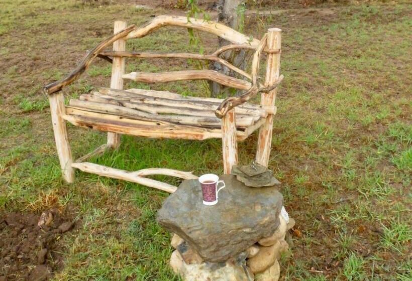 פנסיון Doorways