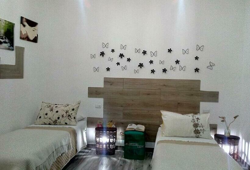 פנסיון Jerry & Titty House