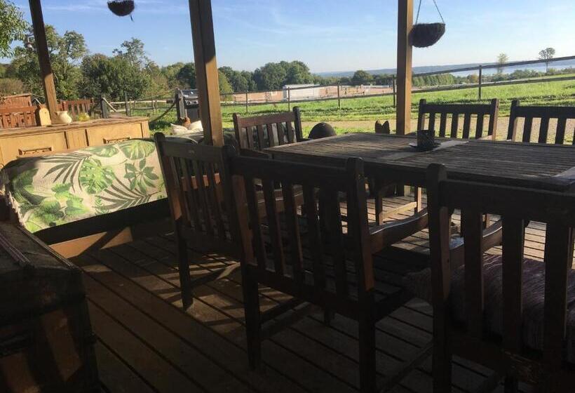 فندق Low Budget Bungalows