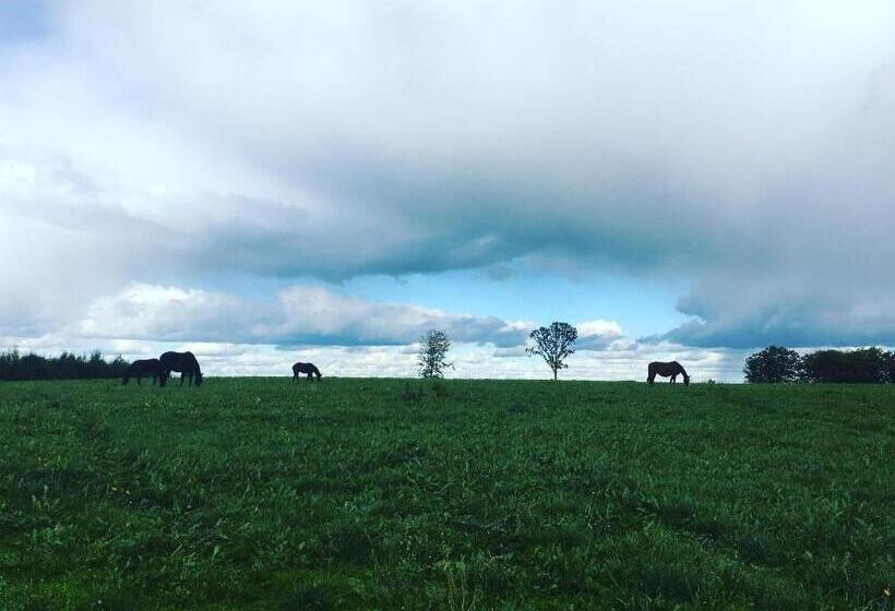 فندق Low Budget Bungalows
