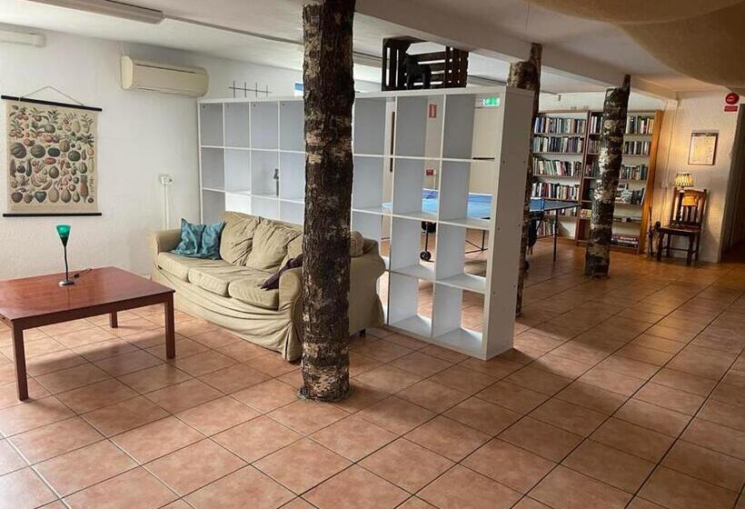 فندق Low Budget Bungalows