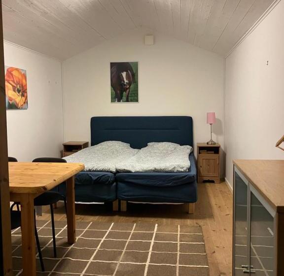 فندق Low Budget Bungalows