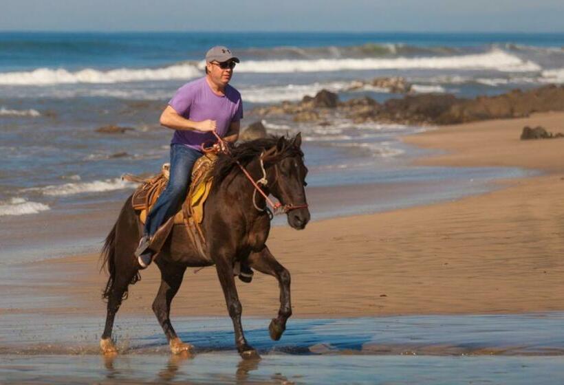 בית מלון כפרי The Resort At Majahua Palms
