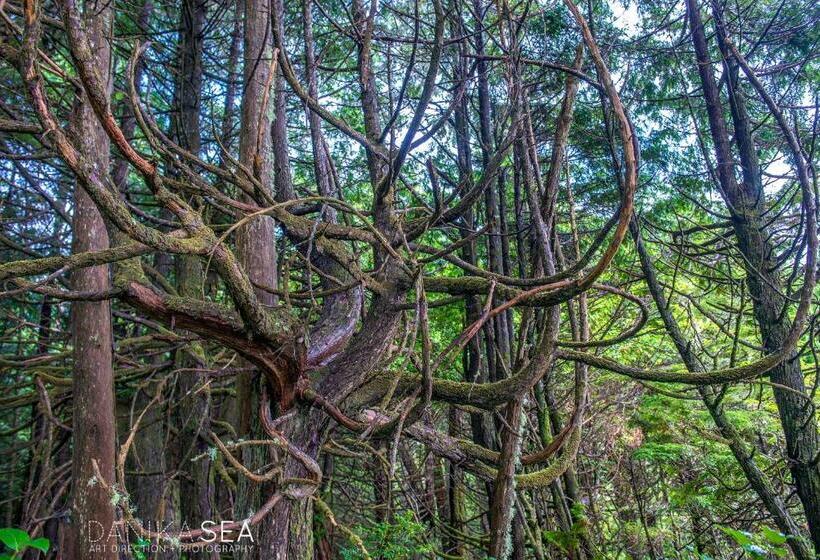 펜션 Sounds Of The Sea