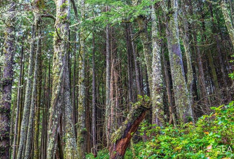 펜션 Sounds Of The Sea