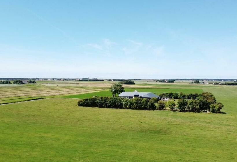 膳宿费 Johanneshoeve   De Mooiste Plek Op Texel