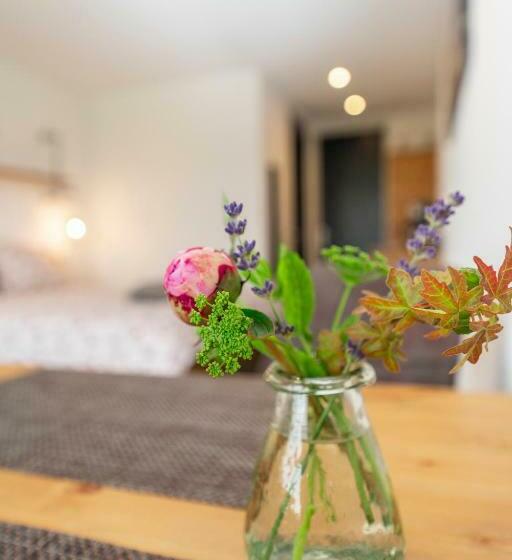 膳宿费 Johanneshoeve   De Mooiste Plek Op Texel