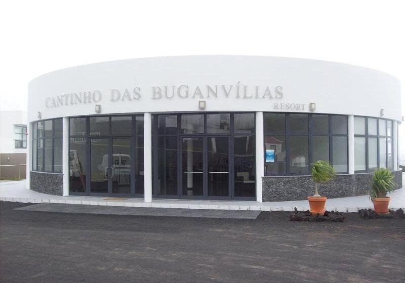 Cantinho Das Buganvilias At