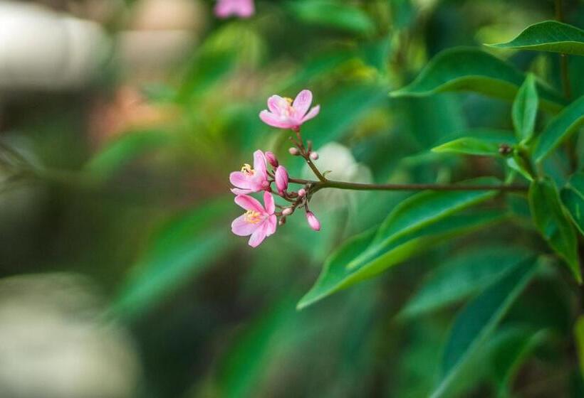 Cendana Resort & Spa By Mahaputra