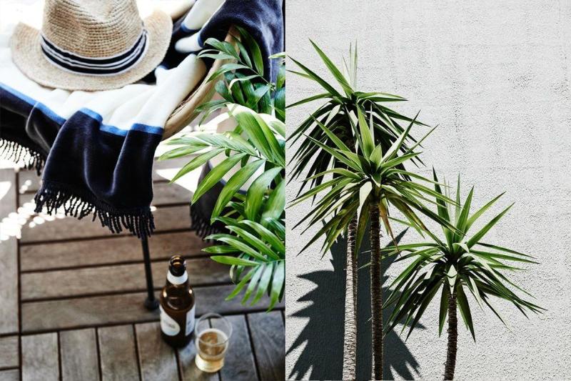 Cumberland Lorne Resort