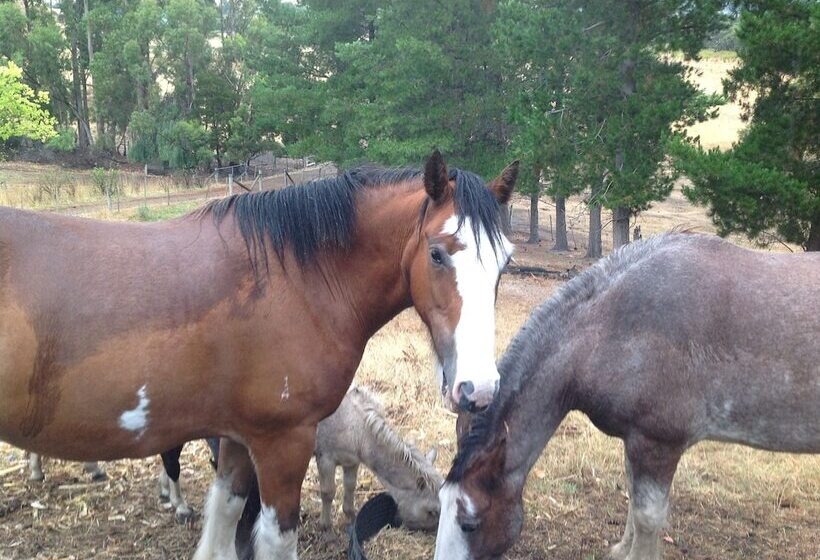 Hatchers Richmond Manor