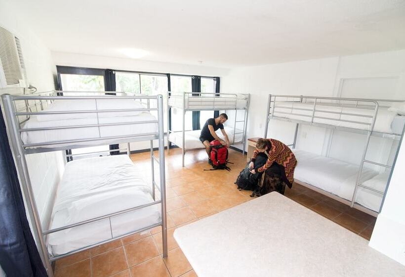 Base Airlie Beach Resort   Hostel