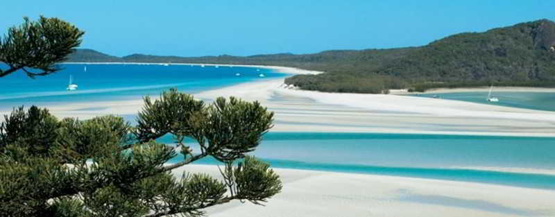 Base Airlie Beach Resort   Hostel