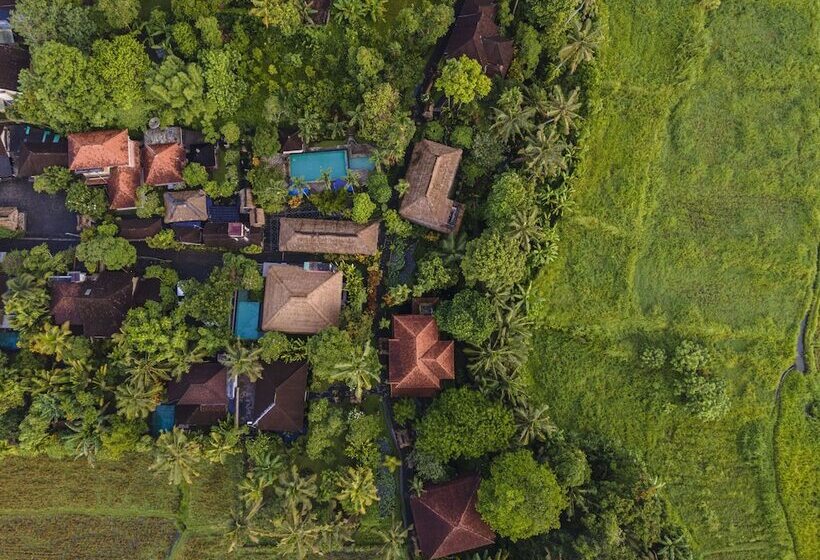 فندق Alam Jiwa Ubud