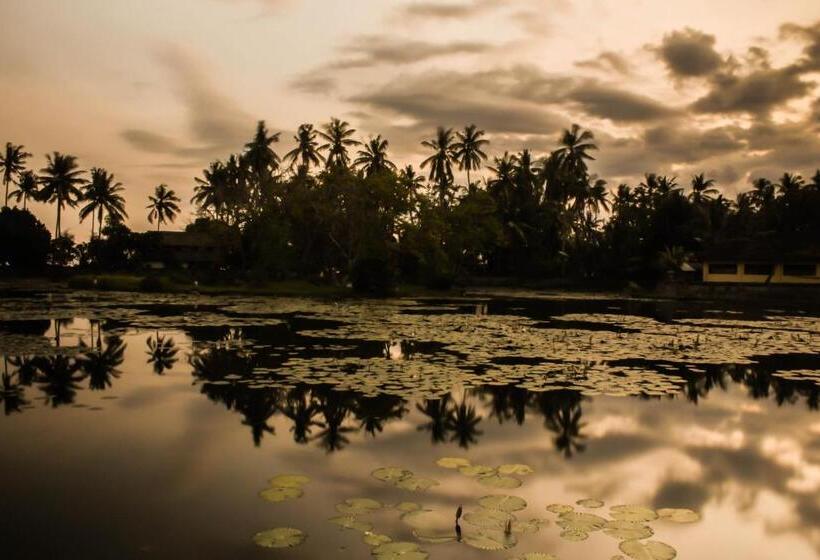 酒店 Bali Palms Resort