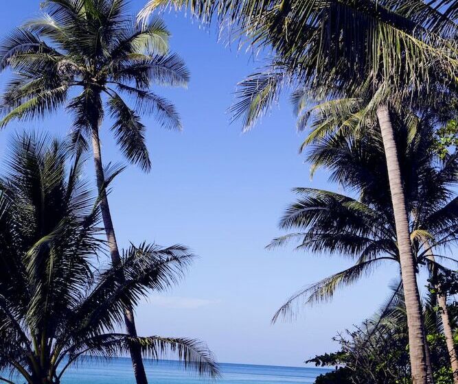 בית מלון כפרי Ajinta Resort