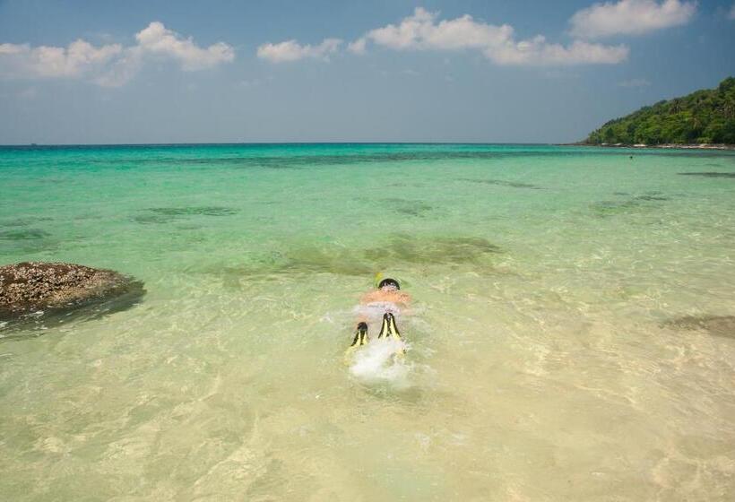 בית מלון כפרי Ajinta Resort