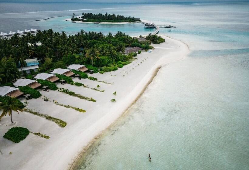 酒店 Cinnamon Hakuraa Huraa Maldives  All Inclusive