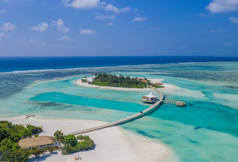 酒店 Cinnamon Hakuraa Huraa Maldives  All Inclusive