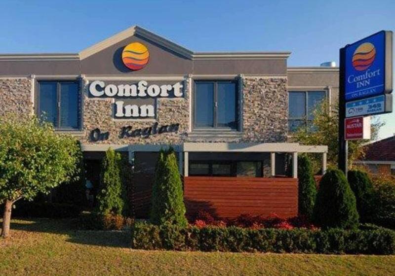 هتل Comfort Inn On Raglan