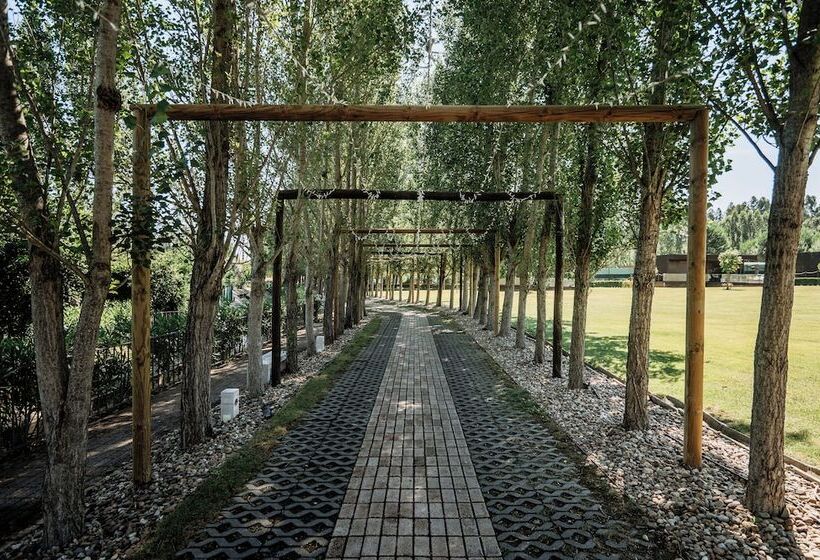 ホテル De Charme Casa Da Amieira