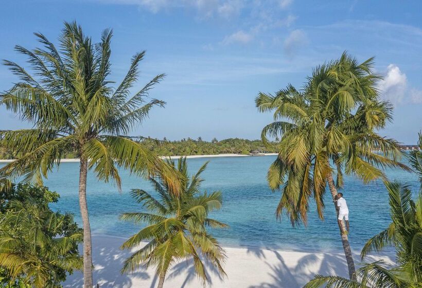 호텔 Naladhu Private Island Maldives
