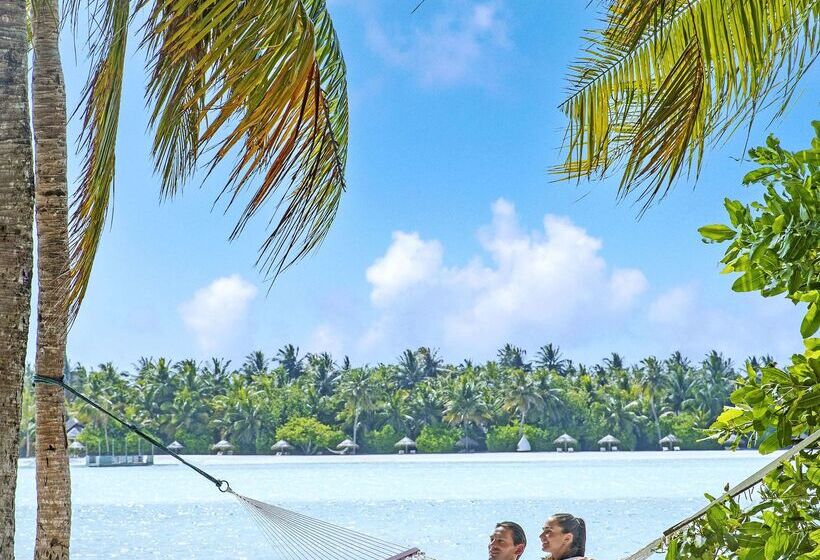 호텔 Naladhu Private Island Maldives