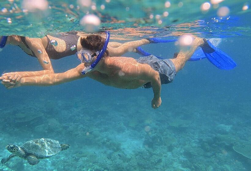 호텔 Naladhu Private Island Maldives