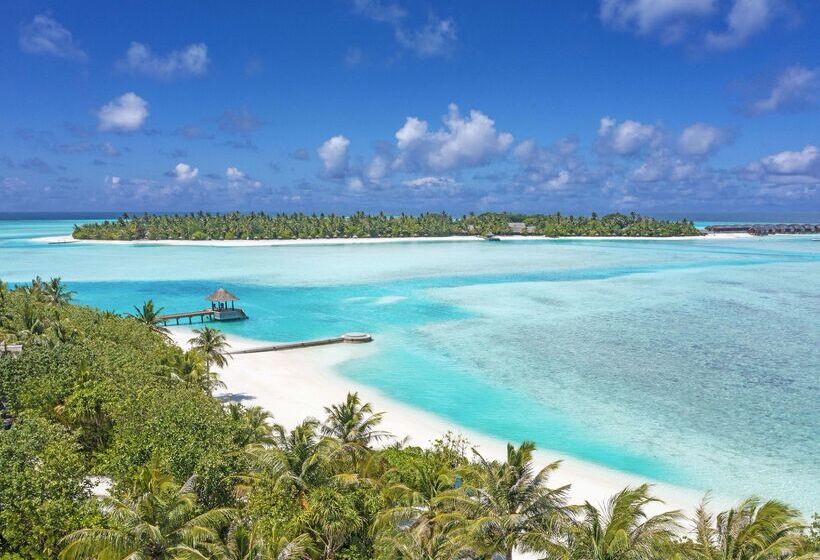 호텔 Naladhu Private Island Maldives
