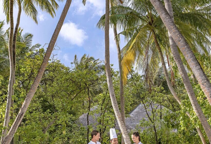 호텔 Naladhu Private Island Maldives