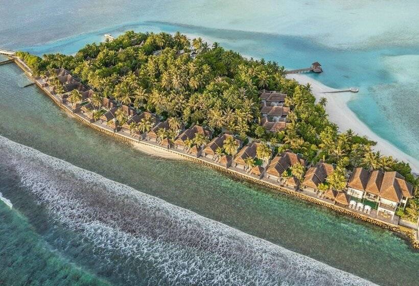호텔 Naladhu Private Island Maldives