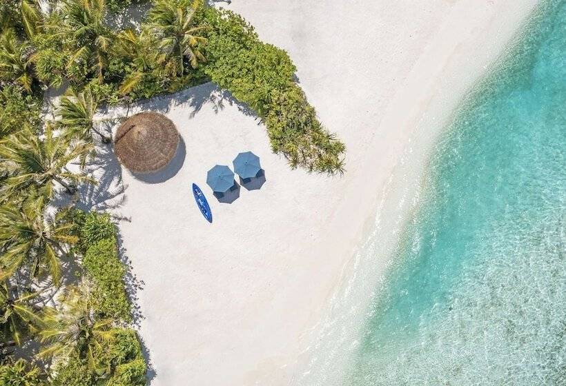 호텔 Naladhu Private Island Maldives