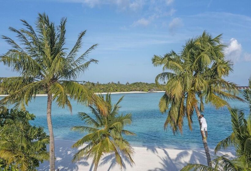 호텔 Naladhu Private Island Maldives
