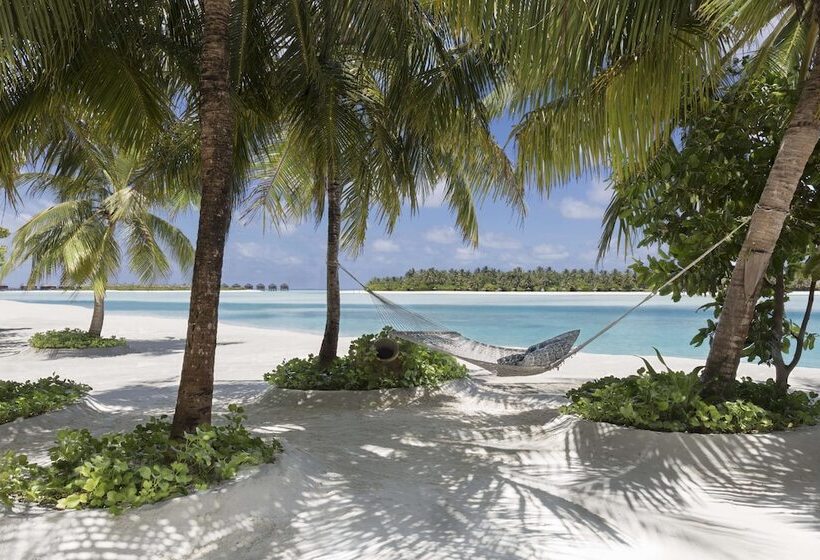 호텔 Naladhu Private Island Maldives