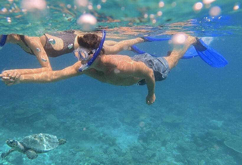 호텔 Naladhu Private Island Maldives