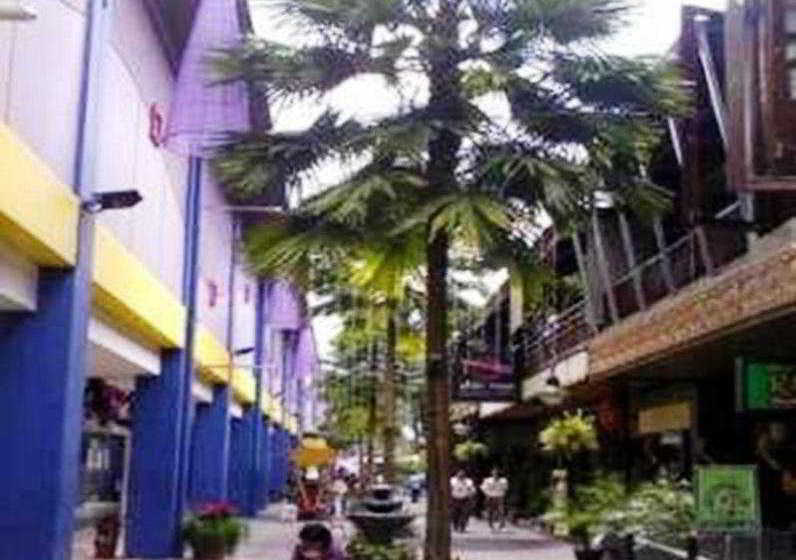 Fotos del hotel Naval:  2