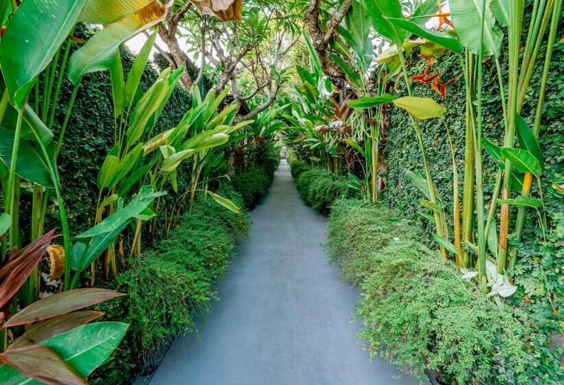 酒店 Rama Residence Petitenget