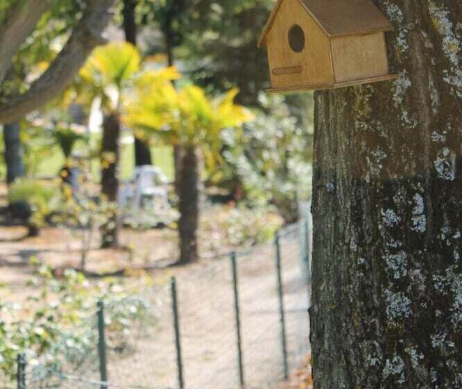 فندق ريفى Rivatur   Explorações Turísticas Lda